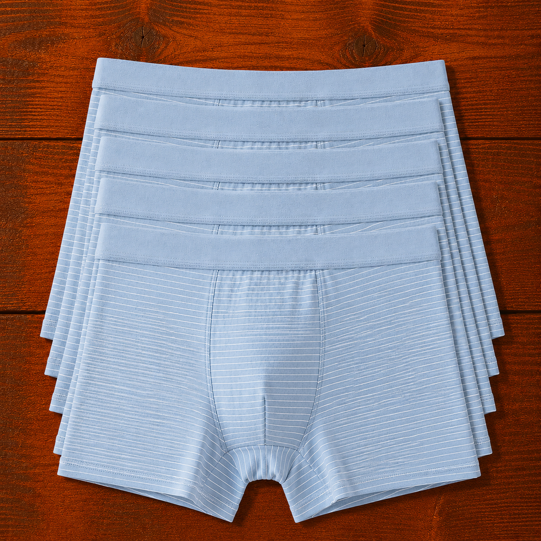 Striped Boxer Briefs