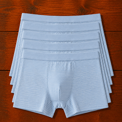 Striped Boxer Briefs