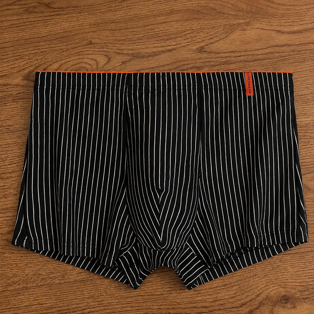 Everyday Stripe Boxer Briefs