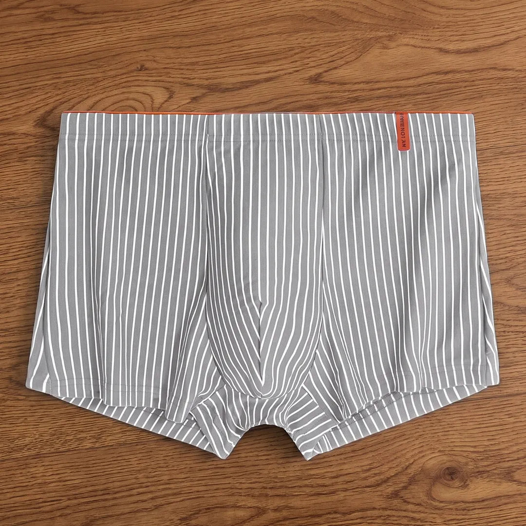 Everyday Stripe Boxer Briefs
