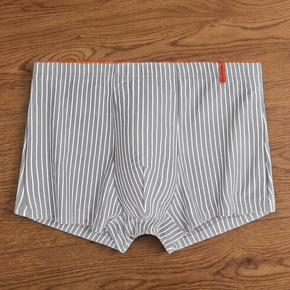Everyday Stripe Boxer Briefs