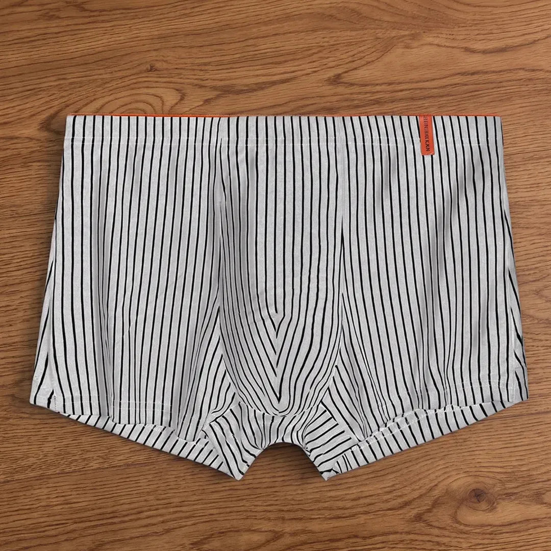 Everyday Stripe Boxer Briefs