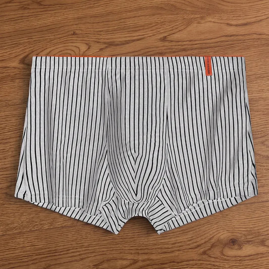 Everyday Stripe Boxer Briefs